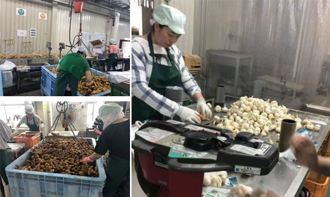 鼎天国际官方网站图片