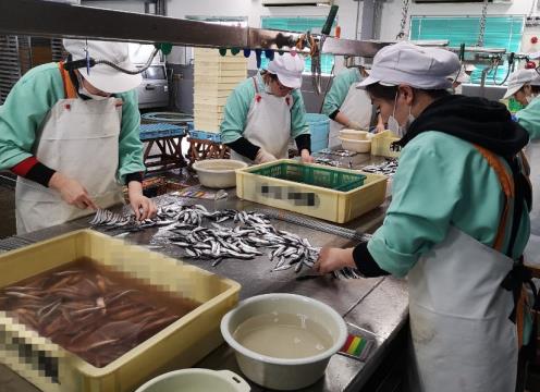 鼎天国际 cdbc1
