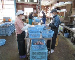 鼎天国际官方网站图片