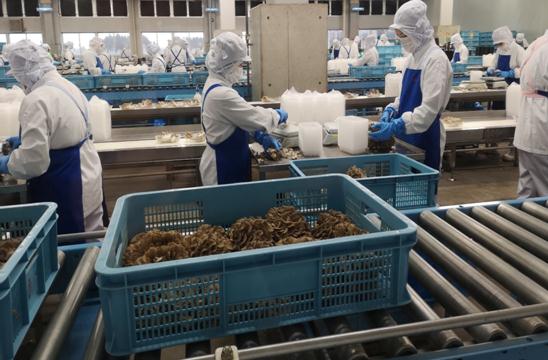 鼎天国际官方网站图片