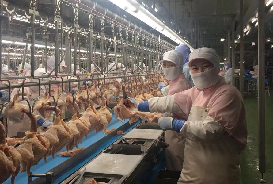 鼎天国际官方网站图片