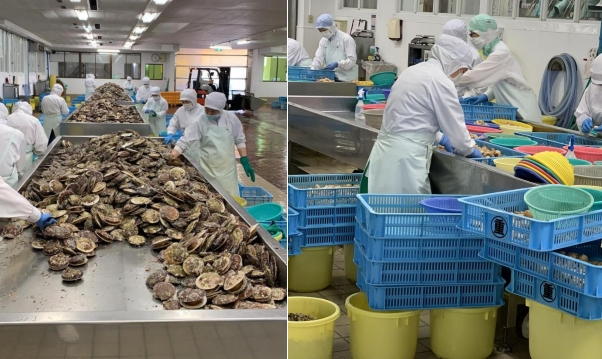 鼎天国际官方网站图片