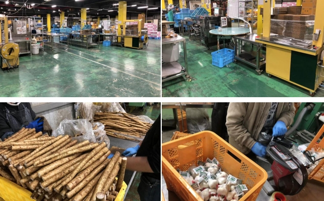 鼎天国际官方网站图片
