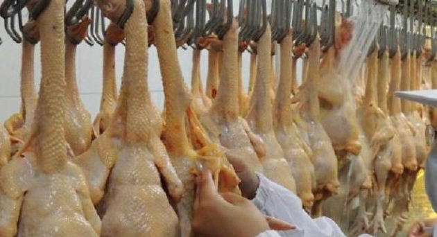 鼎天国际官方网站图片