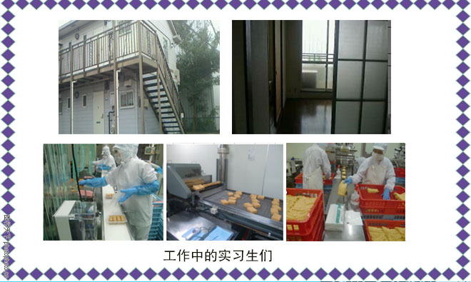 鼎天国际官方网站图片