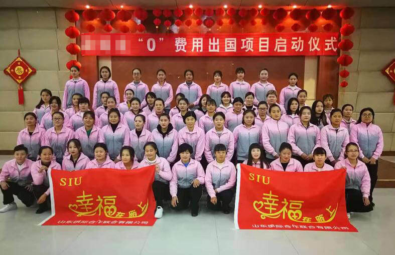 鼎天国际 8066c