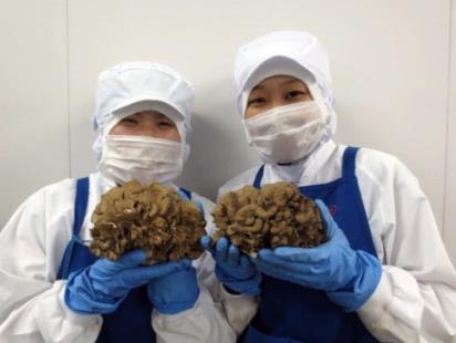 鼎天国际 e59d3